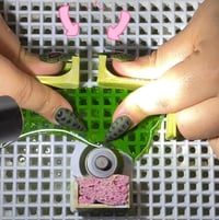 Image 1 of Curiosity Garden Grinding Tools