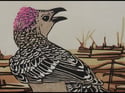 Original reduction linocut of the Great Bowerbird titled 'Show Time'
