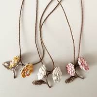 Image 2 of Camelia 250€TTC