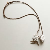 Image 3 of Camelia 250€TTC