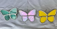 Image 1 of Butterfly pot pals 