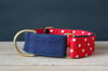 All Star // Martingale Collar