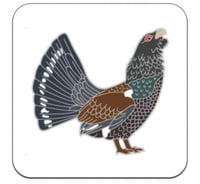 Image 4 of Capercaillie - No.11 - Bird Pin Badge Group Series 