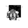 thoracic vessels and the "heart"