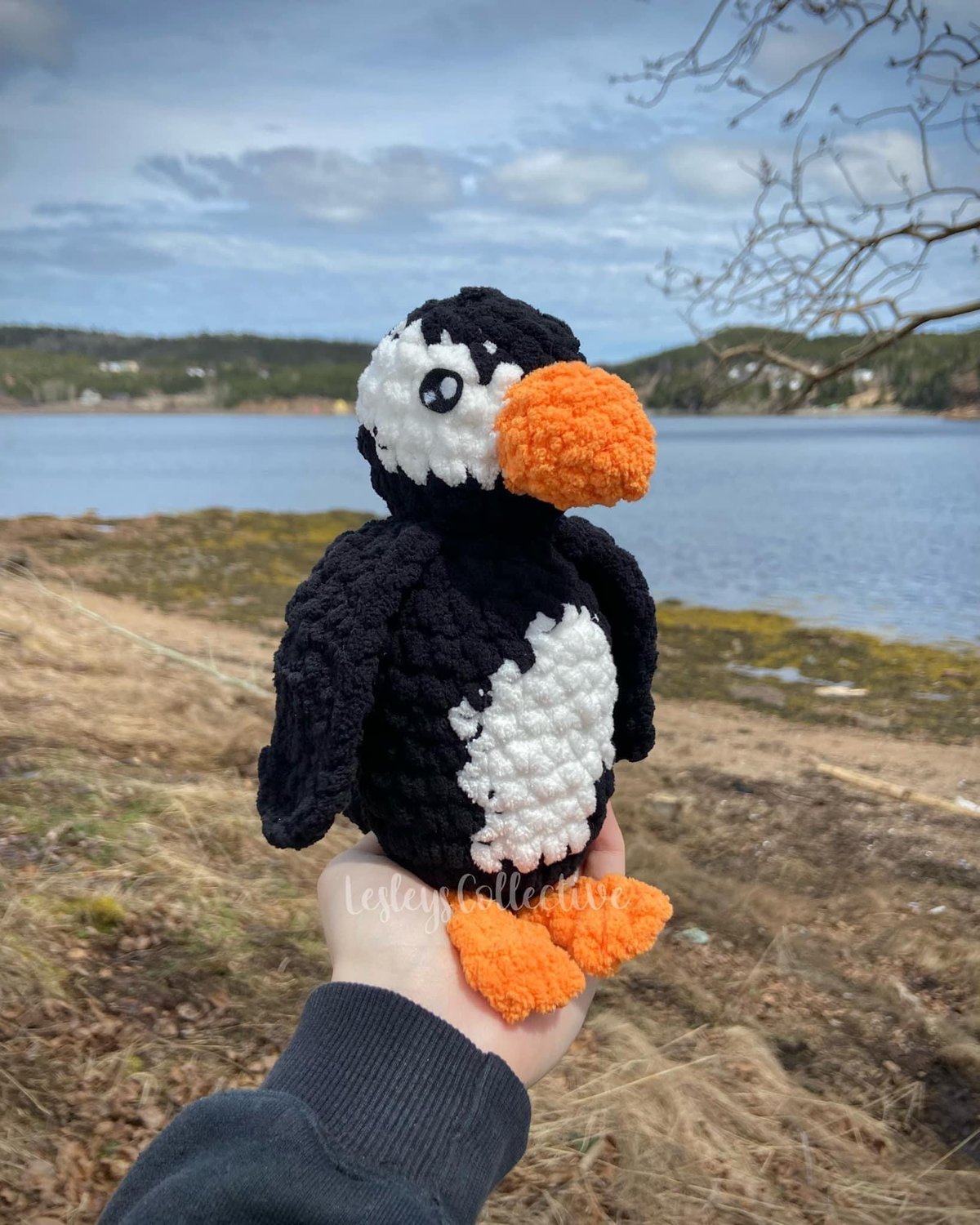 Image of Newfoundland Puffin