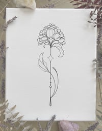 ornamental hydrangea