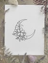 botanical moon one