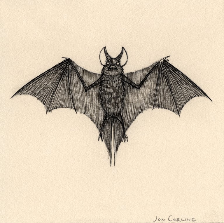 'Bat' Original Drawing