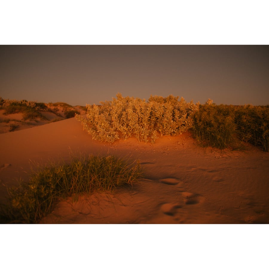 Image of print run - Ningaloo