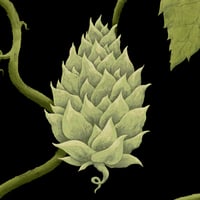 Image 4 of Brewer's Gold - Print