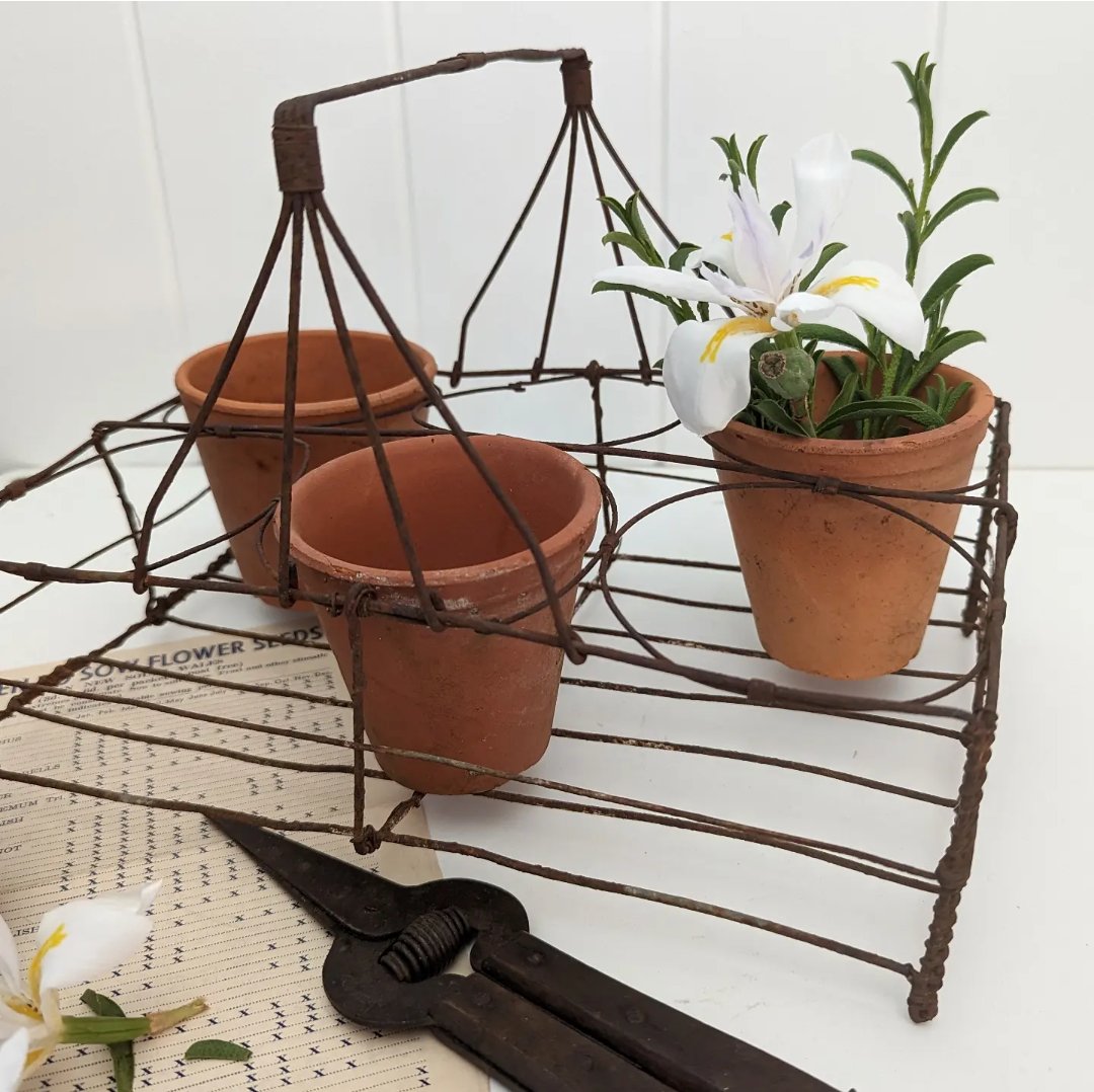 Image of Rustic French wire holder