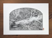 Image 2 of Pinecrabs · Print