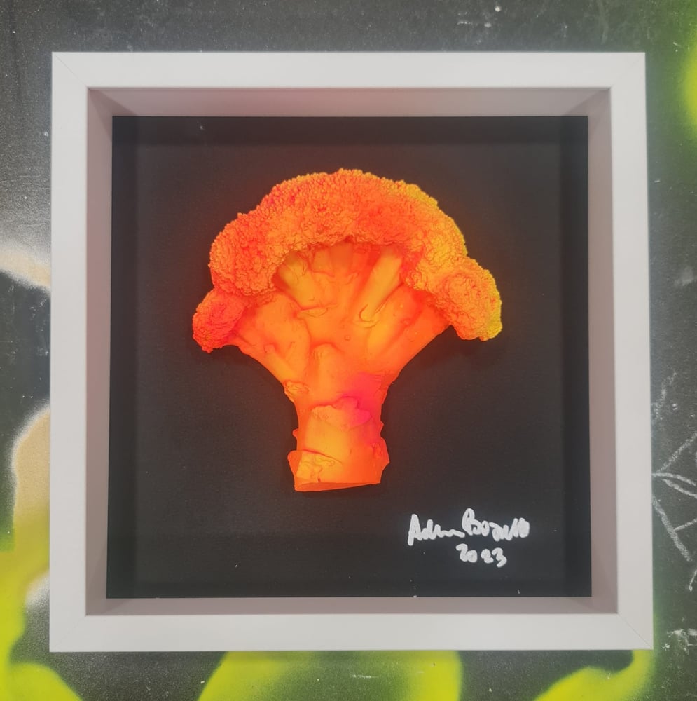 Image of GLOW IX
