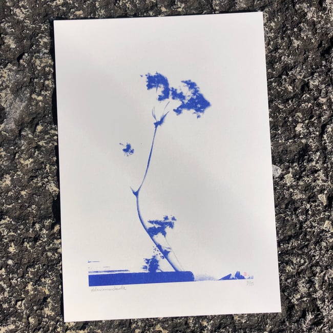 Tirage Elise - Série Limitée A3 - par Bleu Comme Basile 