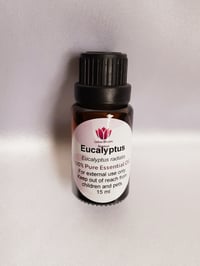 Eucalyptus Essential Oil 