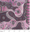 Image of Regeneration Pink Shade 30cm