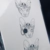 Thackeray Sphynx Cat Print 