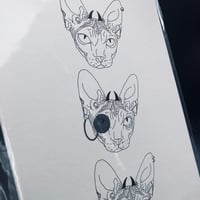 Image 2 of Thackeray Sphynx Cat Print 