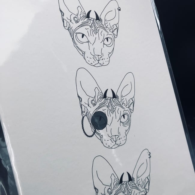 Thackeray Sphynx Cat Print 