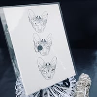 Image 1 of Thackeray Sphynx Cat Print 