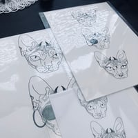 Image 3 of Thackeray Sphynx Cat Print 