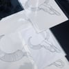 Cattle Skull Print 