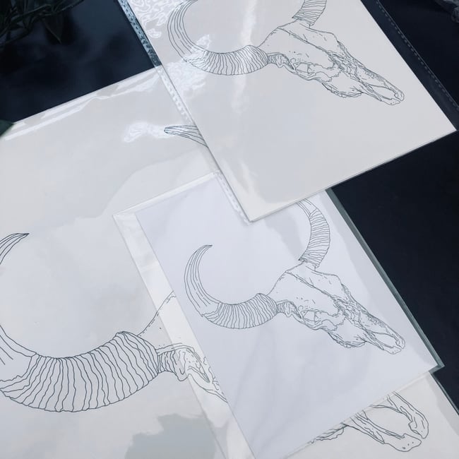 Cattle Skull Print 