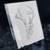 Stag Skull Print 