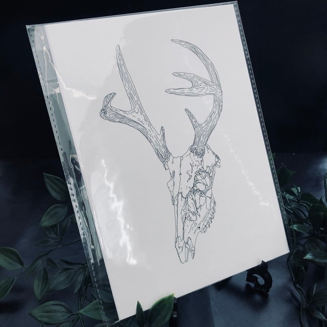 Stag Skull Print