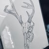 Stag Skull Print 