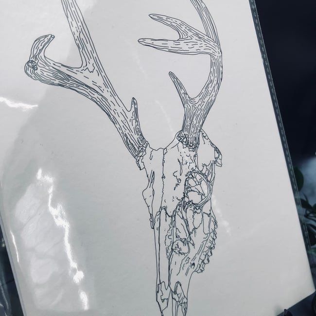 Stag Skull Print