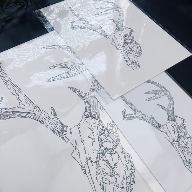 Stag Skull Print