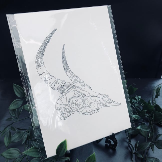 Goat Skull Print 