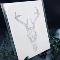 Image 1 of Deer Skull Print 