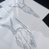Deer Skull Print 