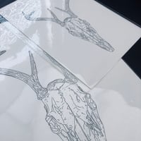 Image 2 of Deer Skull Print 