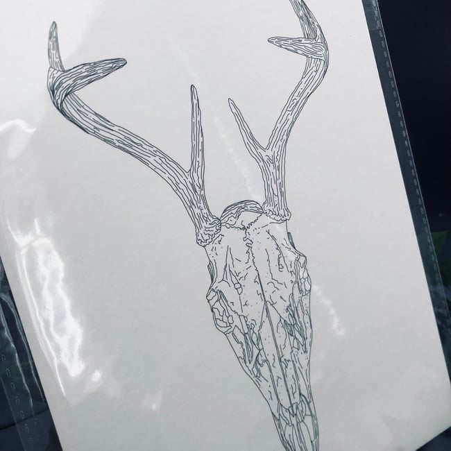 Deer Skull Print 