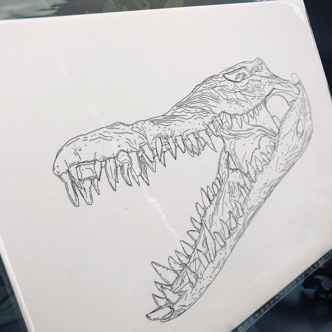 Crocodile Skull Print 