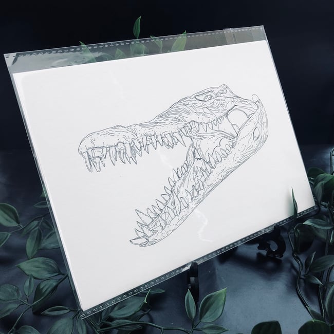 Crocodile Skull Print 