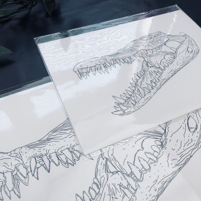 Crocodile Skull Print 