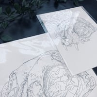 Image 3 of Bobcat Skull Print 