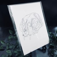 Image 1 of Bobcat Skull Print 