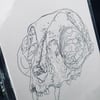 Bobcat Skull Print 