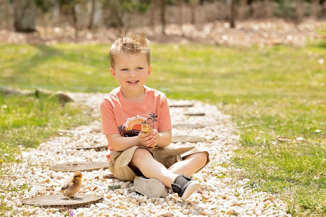Chicks at the Farm March 19th  & April 2nd