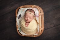 Newborn Package Option Four - Retainer
