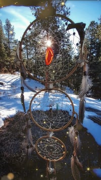 Image 1 of Rooted Remains Dreamcatcher 