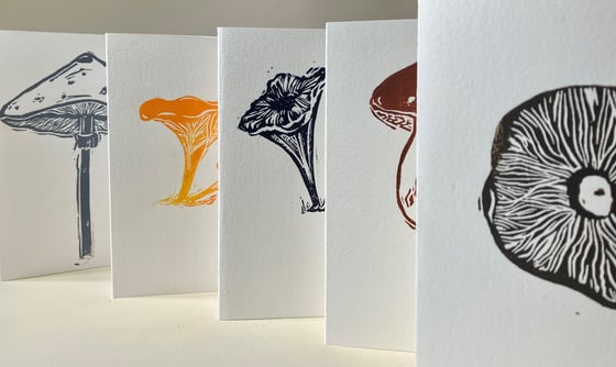 Image of Funghi Collection—5 Hand printed Cards