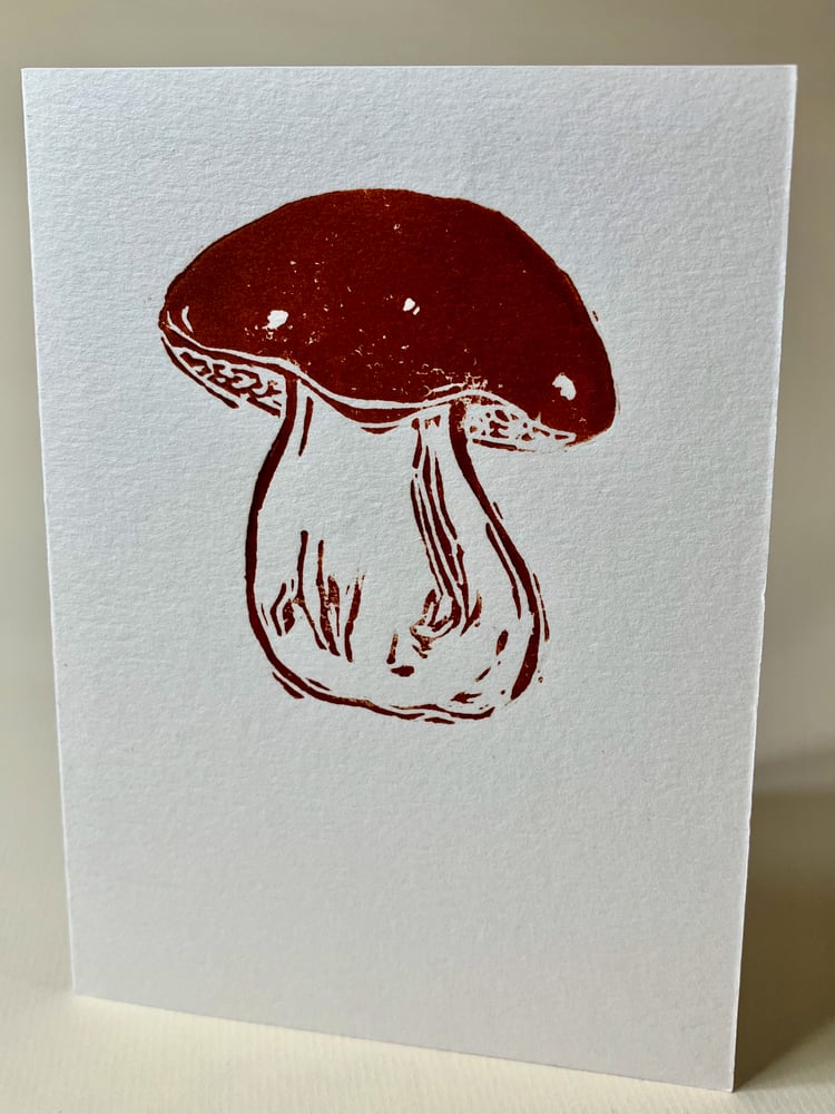 Image of Funghi Collection—5 Hand printed Cards
