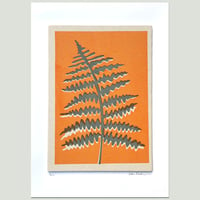 Image 1 of Grey Fern on Soft Orange Fabric Print