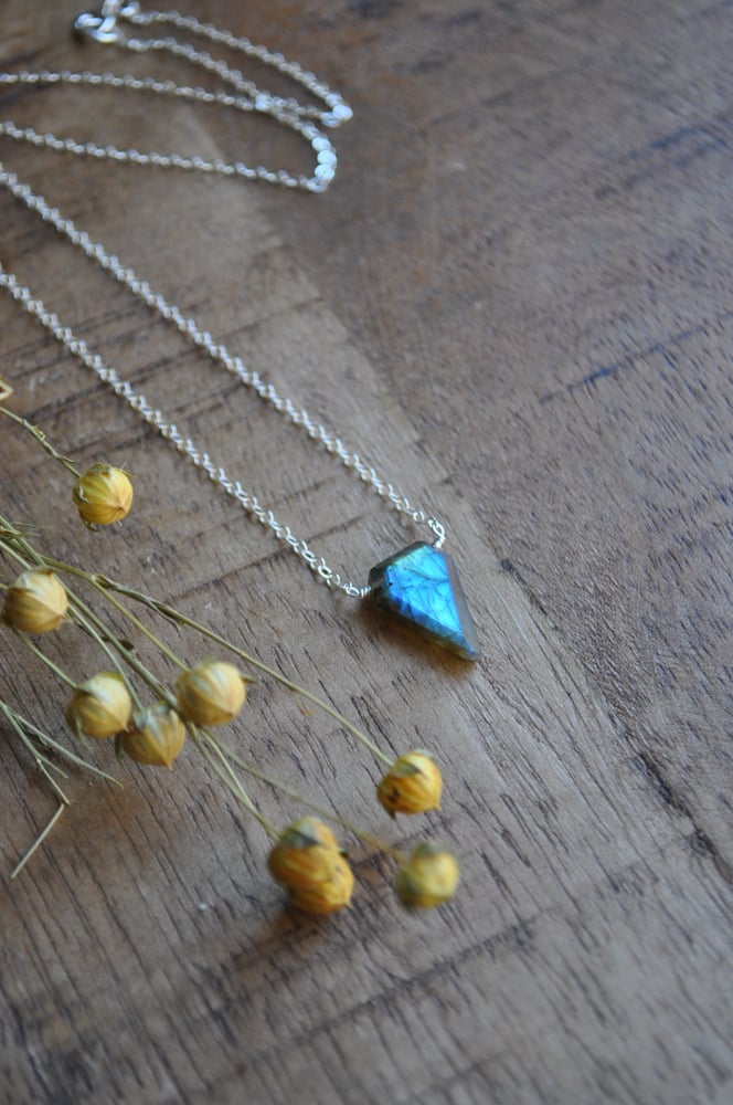Image of Labradorite Spike Necklace on Sterling Silver